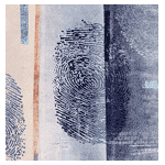 Registered Alien, Series II